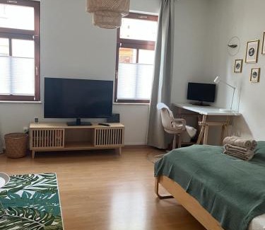 Erfurt Old Town Apartamento | Grünspecht am Klein Venedig, zentral mit Balkon, Arbeitsplatz, Küche, Badewanne etc