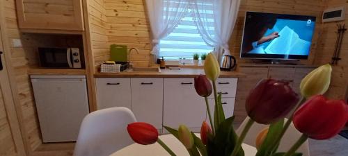 Mszczonow Casa | Grabska Osada SUN HOUSE - domki całoroczne ogrzewane