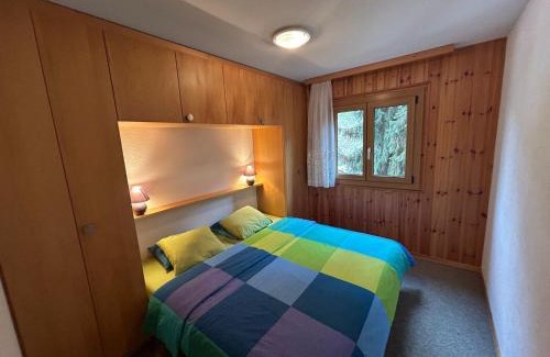 Nendaz Apartamento | Gracious apartment in Veysonnaz