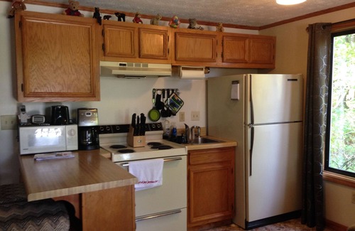 Claysburg Condominio | Graefe Bunny Hop Condo en Blue Knob