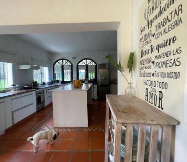 Gualeguaychú Casa | Gran Mansión Premium