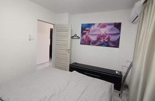 Zsorifurdo Casa | Grand Alba apartman Mezőkövesd Zsóry