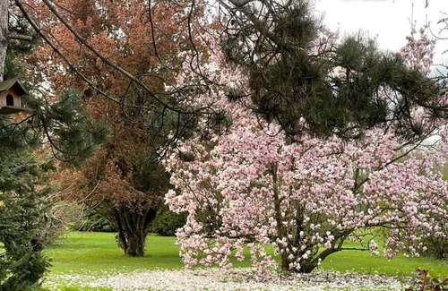 Villeneuve-sur-Bellot Casa | Grand Gîte de 15 à 23 Personnes à 80 Km de Paris et à 45 min de Disneyland
