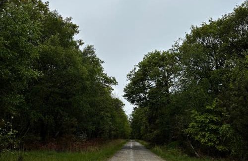 Ferce Casa | Grand gîte de caractère à la campagne