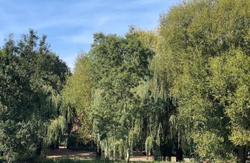 Chemire-le-Gaudin Casa | Grand gîte près du Mans avec piscine, cheminée et animaux - FR-1-410-217