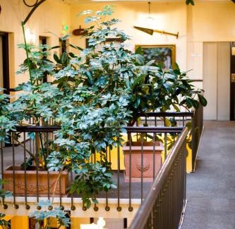 Matabiau Hotel | Grand Hôtel d'Orléans