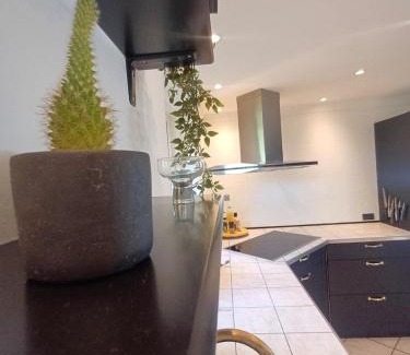 Hjørring Apartamento | Grand Lux House with private parking
