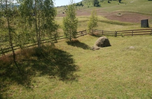 Zabljak Casa | Grand Rabbit House on the Hillock