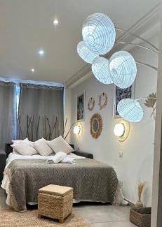 Carnot Apartamento | Grand Studio Cosy Cannes Centre