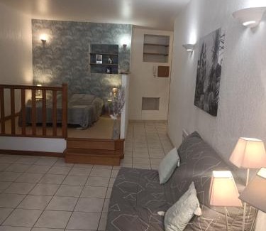 Romans-sur-Isere Apartamento | Grand Studio meublé chez COCO