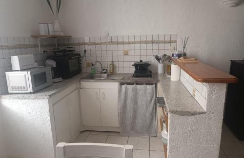 Romans-sur-Isere Apartamento | Grand Studio meublé chez COCO