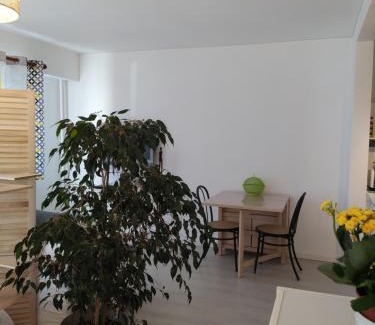 Ep 21 - Saint-Paul Apartamento | Grand studio, super équipé, 2 pas du centre-ville "clos-du-boulanger" - parking privé