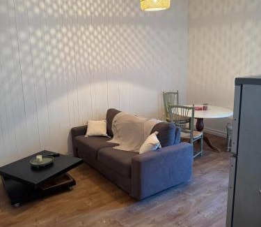 Fontenay-le-Comte Apartamento | Grand T2 en centre-ville quartier historique