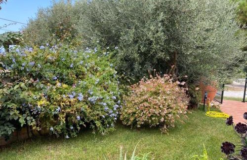 Santa Domenica Casa | Grande appartamento in casale ristrutturato