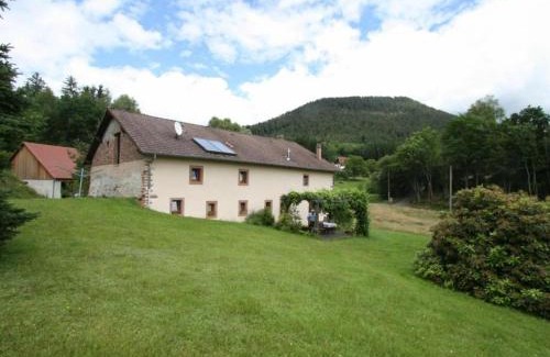 Taintrux Casa | Grande Ferme Rénovée avec Jardin, Terrasse et Sentiers à Proximité - Vosges - FR-1-589-232