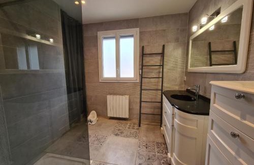 Lucay-le-Male Casa | Grande Maison au Bord d'un Lac avec Spa, Jardin Clôturé et Proche du ZooParc de Beauval - FR-1-591-336