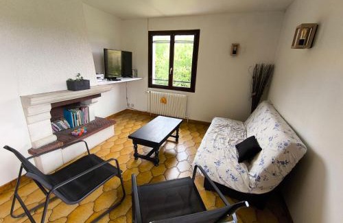 Liffol-le-Grand Casa | Grande maison avec jardin