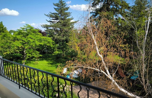 Avignon Villa | Grande Villa Années 50 Rénovée Jardin 3500 m2 Ceinture Verte à 10 mns Intramuros