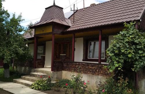 Miroslovesti Casa | Grandma's house/ Casa bunicii