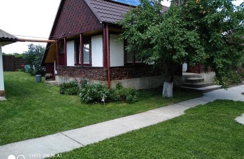 Miroslovesti Casa | Grandma's house/ Casa bunicii