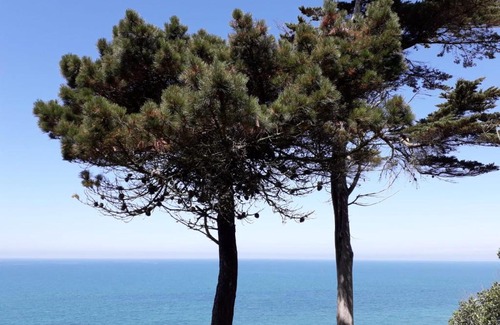 Granville Apartamento | Granville Plage Plat Gousset