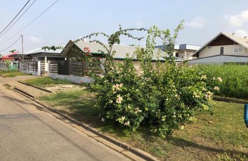 Noord Apartamento | Grapefruitstraat