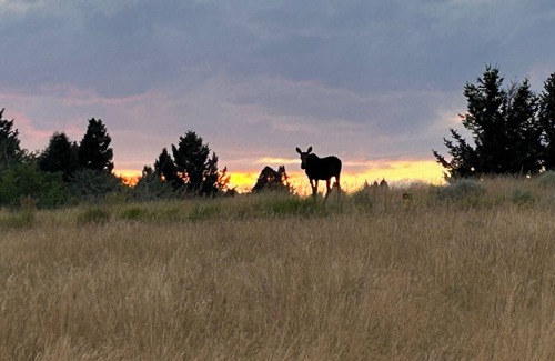 Ringling Cabina | Grassy Mountain Ranch