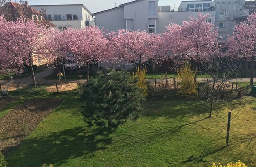 Schmiden Apartamento | Great apartment for non-smokers