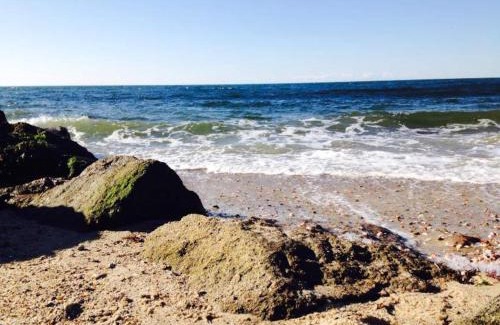 Dennis Port Casa | Great Cottage - Walk To The Beach! 97