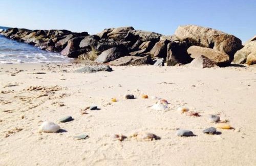 Dennis Port Casa | Great Cottage - Walk To The Beach! 97