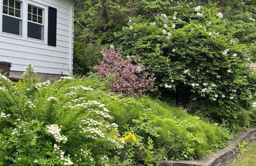 Port Sydney Casa | Great Family Property Between Huntsville and Bracebridge