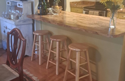 Spring Hill Casa | Nice house in quiet upscale neighborhood close to everything. Pet friendly.