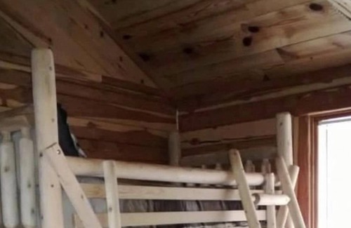 Fifty-Six Cabina | Great Oaks Cabins, Cabin 3