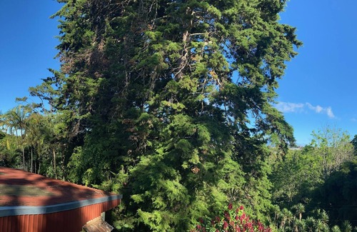 Roble Apartamento | Great view of the mountains while in San Jose.
