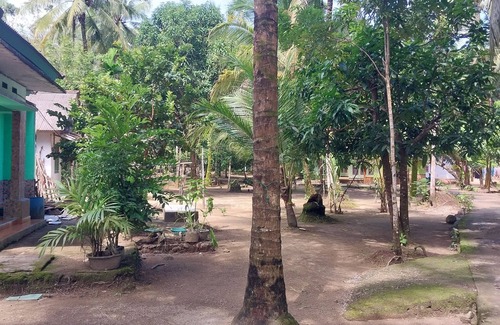 Java Casa | Green Anda's Homestay - Community-Based Ecotourism in Ujung Kulon National Park