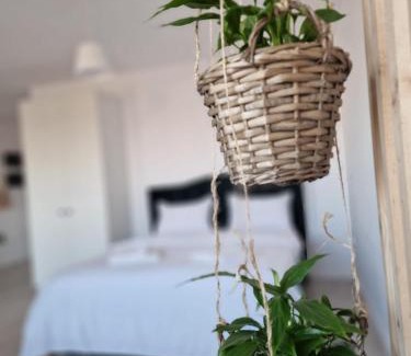 Iasi Apartamento | Green Apartment Iasi