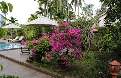 Cam Thanh Villa | Green Areca villa
