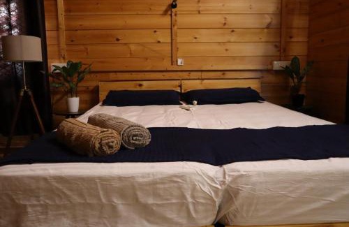 Munroe Island Cama Y Desayuno | Green Chromide's Homestays