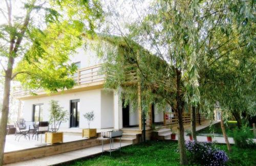 Sulina Casa | Green Coffee House