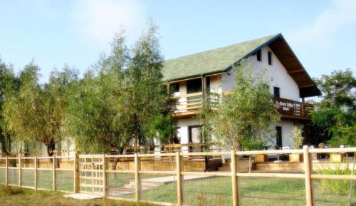 Sulina Casa | Green Coffee House