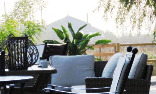 Sulina Casa | Green Coffee House