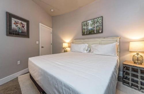 Brazos Apartamento | Green Door Lofts -Magnolia Loft, Silos/Downtown