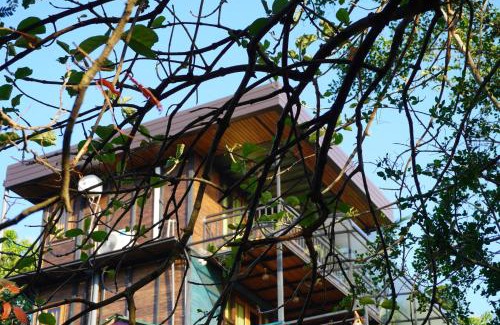 Dambulla Complejo | Green Earth Resort