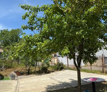 Mtsvane Kontskhi Apartamento | Green Field Cottage,Chakvi