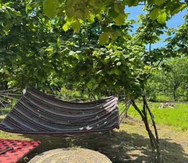 Mtsvane Kontskhi Apartamento | Green Field Cottage,Chakvi