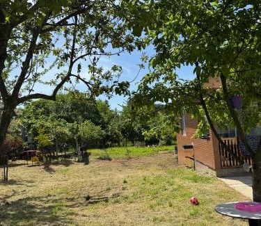 Mtsvane Kontskhi Apartamento | Green Field Cottage,Chakvi