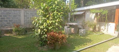 Andiambalama Complejo | Green garden airport resort