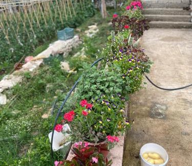 Bajkaj Casa | green haven