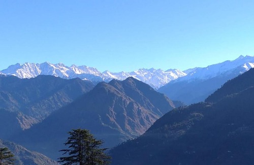 Jibhi Casa | Green Himalayan Homestay