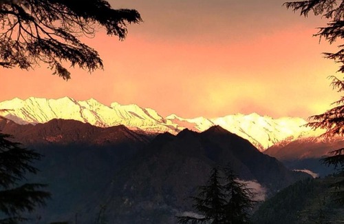 Jibhi Casa | Green Himalayan Homestay